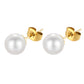 Earrings, 18K Gold Plated Steel